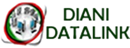 DianiDataLink Logo
